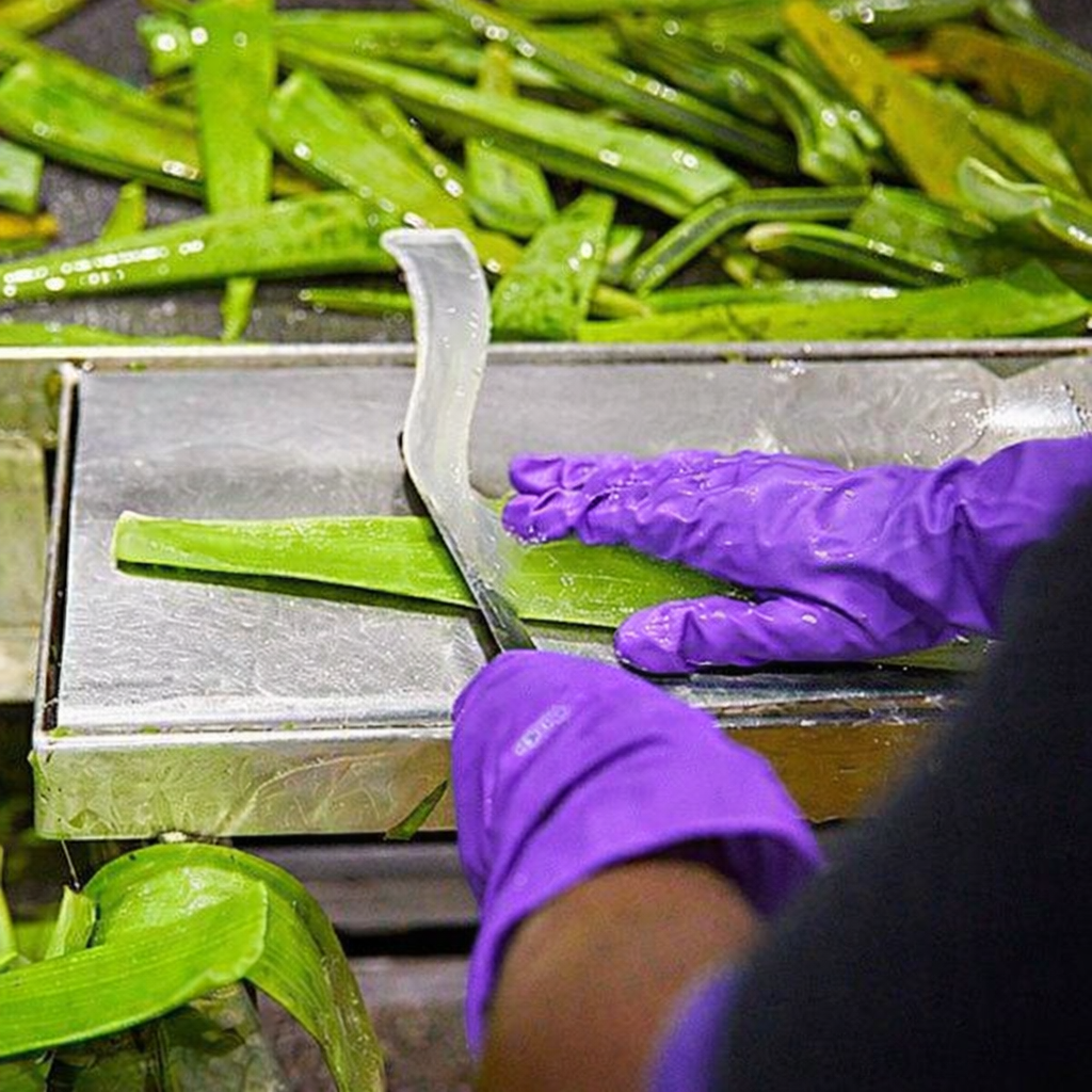 8020407f e68d 429f bd72 4b791a5e5c26